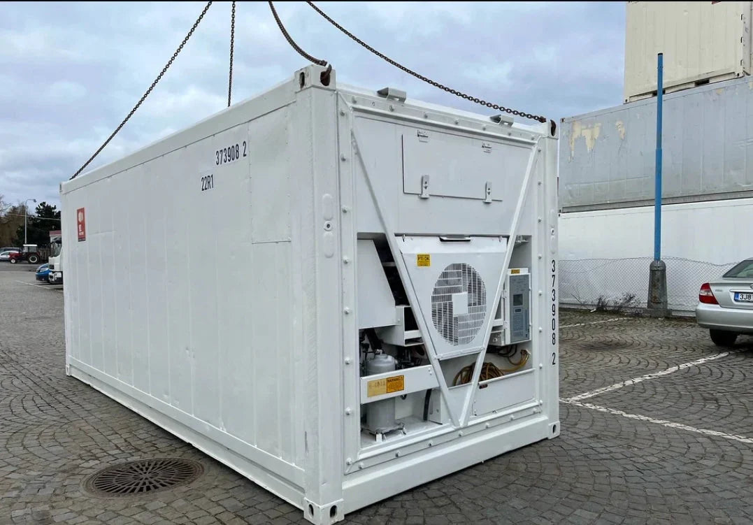 Conteneur réfrigéré RF de 20 pieds