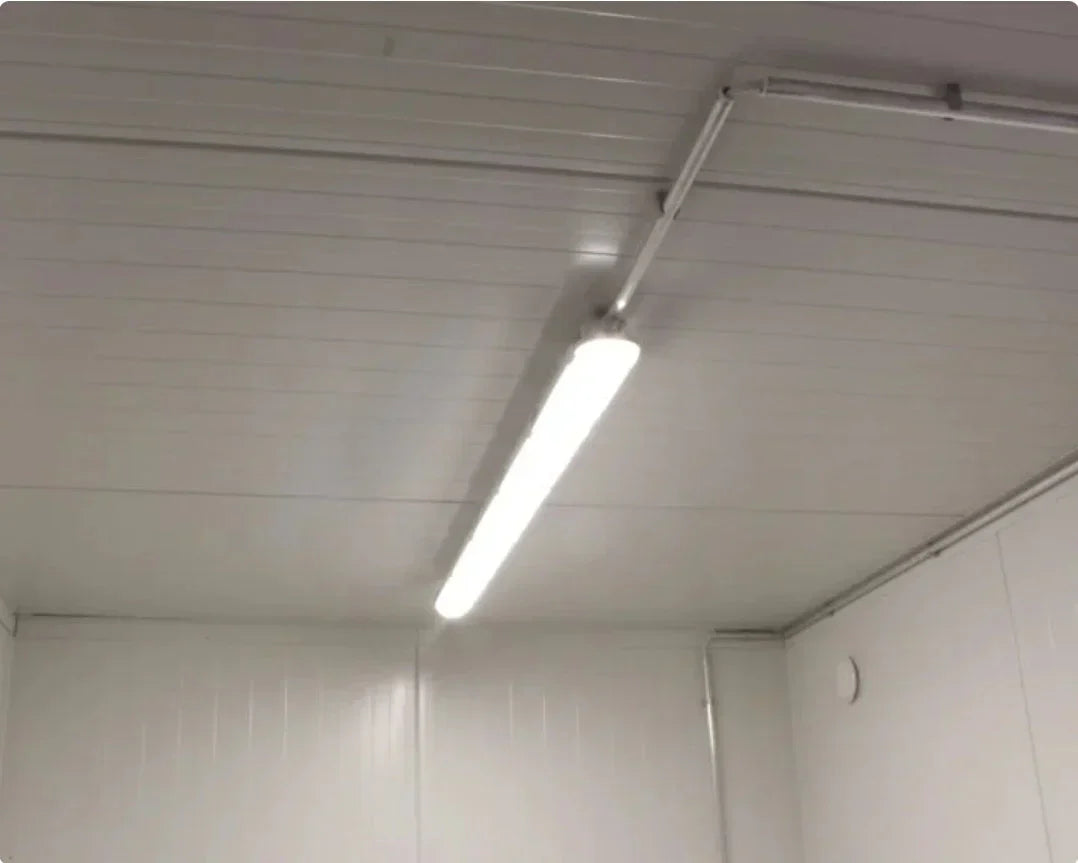 Conteneur réfrigéré de 10 pieds